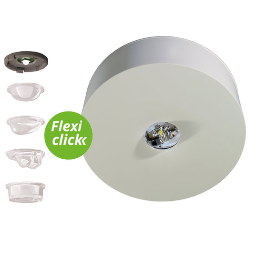 RP-Technik - Sicherheitsleuchte ILDL428WL-SW-TT EB 8h, Wireless