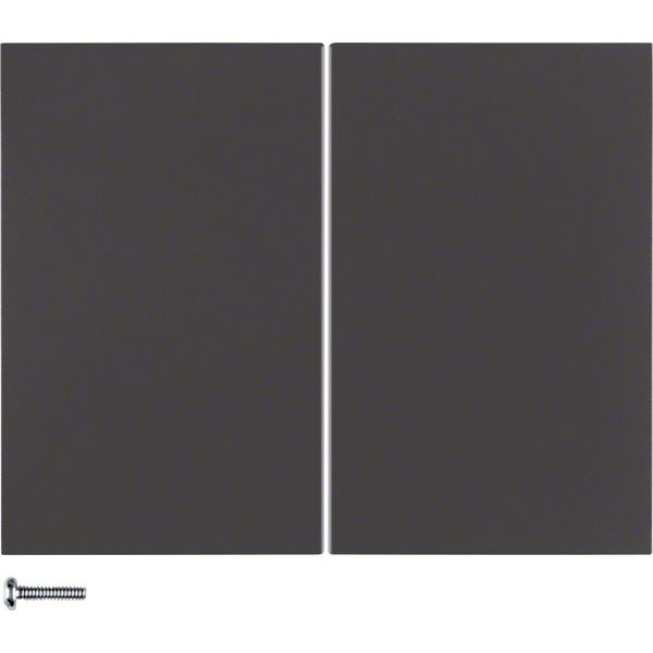 Berker - Bedienelement intelligent Taste 2fach 85142175 anthrazit matt, lack