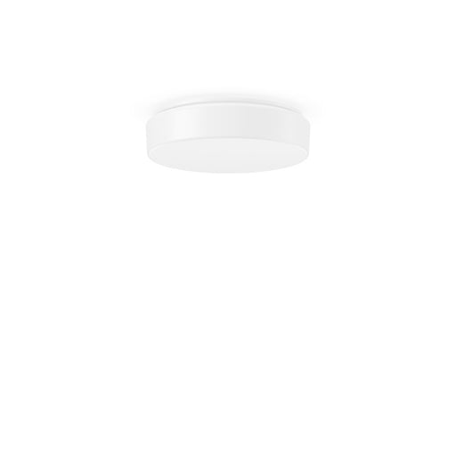 RZB - Decken-/Wandleuchte LED-Decken-/Wandleuchte 311620.002.5 4000K D300 H80 PMMA