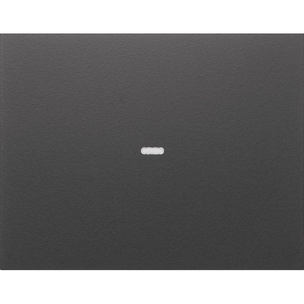 Berker - Abdeckung/Bedienelement für Installationsschalterprogramme Tast-Abdeckung 1f. anth 80960275