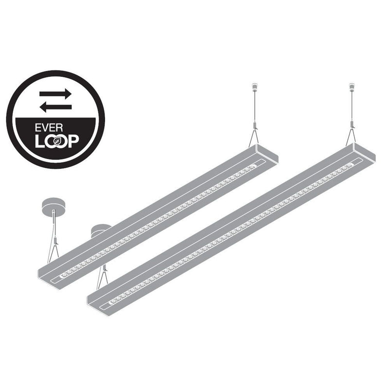 Ledvance - Pendelleuchte LED-Pendelleuchte LNI.DI1,2P54W940DELB 940, DALI, schwarz
