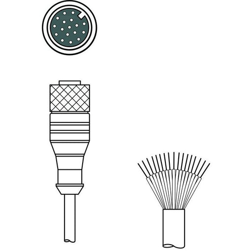 Leuze - Konfektioniertes Sensor-Aktor-Kabel Anschlussleitung KD U-M12-HA-P1-050