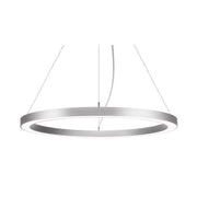 Brumberg Leuchten - Pendelleuchte LED-Pendel-Ringleuchte 13931163 DALI DT6 D75cm H35mm