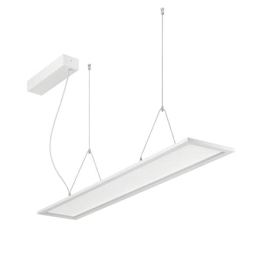 Brumberg Leuchten - Pendelleuchte LED Pendelleuchte 49230073DA 3000/4000K, DALI