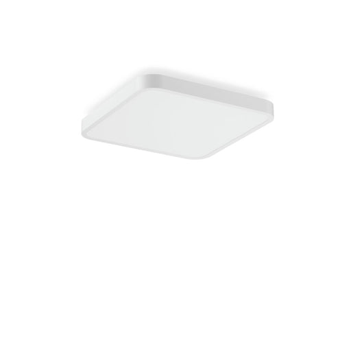 RZB - Decken-/Wandleuchte LED-Wand-u. Deckenleuchte 312653.002.1.76 840, DALI, ws