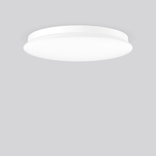 RZB - Sicherheitsleuchte LED-Wand-u.Deckenleuchte 672832.002.1.89 ZB