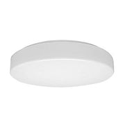 Waldmann Light - Decken-/Wandleuchte LED-Anbauleuchte 00813351 4000K DALI − 1 Stück