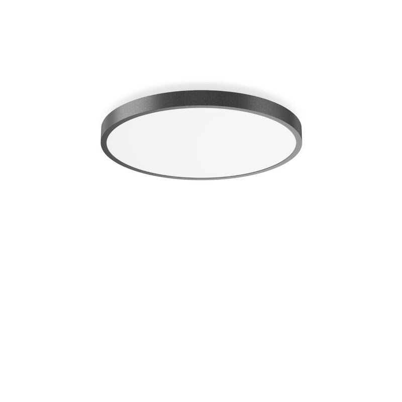 RZB - Decken-/Wandleuchte LED-Wand-/Deckenleuchte 312383.0031.2.76 DALI, anthr