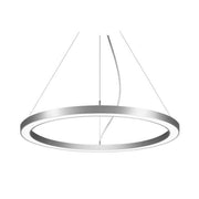 Brumberg Leuchten - Pendelleuchte LED-Pendel-Ringleuchte 13830164 DALI DT6 D60cm H5cm