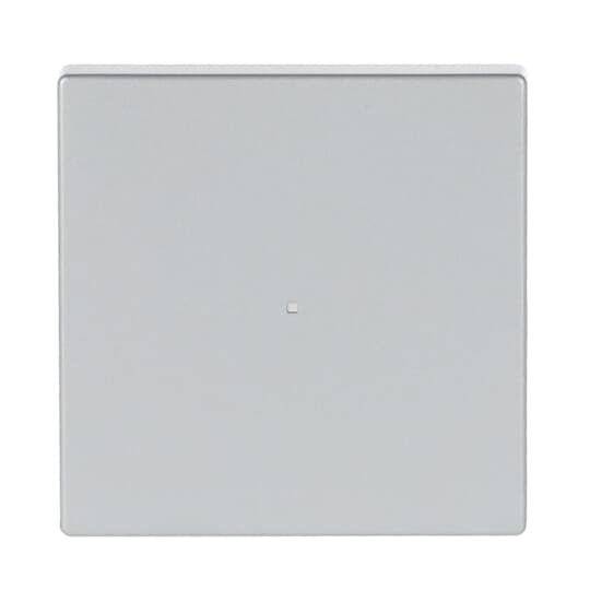 Busch-Jaeger - Bussystem-Tastwippe Wippe 1-fach 6230-10-83 alusilber