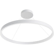 EVN Lichttechnik - Decken-/Wandleuchte LED-Pendelleuchte RTS800125 MC