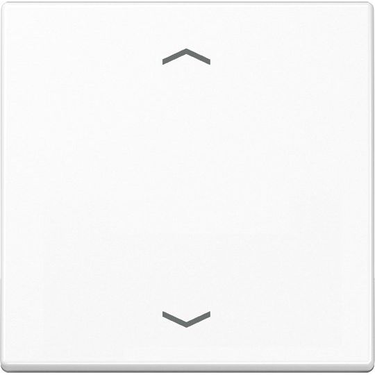 Jung - Abdeckung/Bedienelement für Installationsschalterprogramme Wippe Symbole aws A 590 P WW für Taster