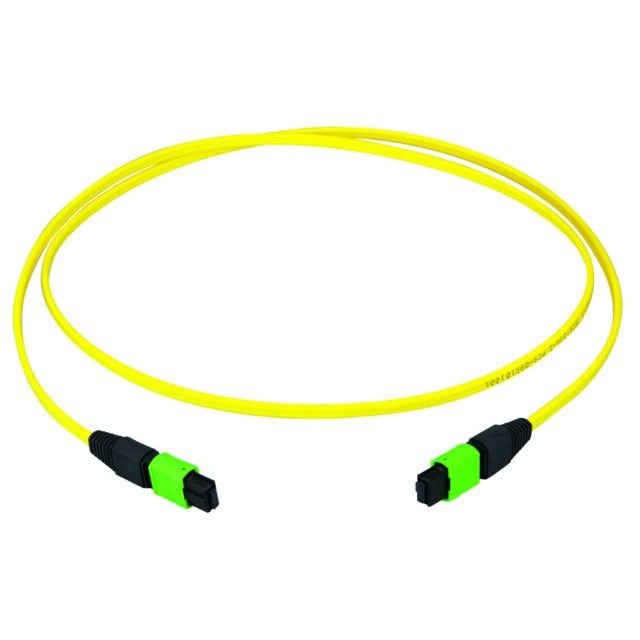Telegärtner - Patchkabel LWL MPO/MTP-Patchkabel gb 70m 100011159 MPO APC OS2