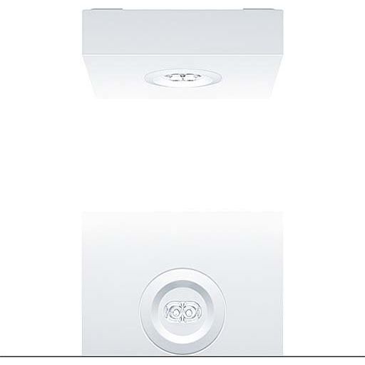 Zumtobel Group - Sicherheitsleuchte Sicherheitsleuchte RESCLITE P #42929791