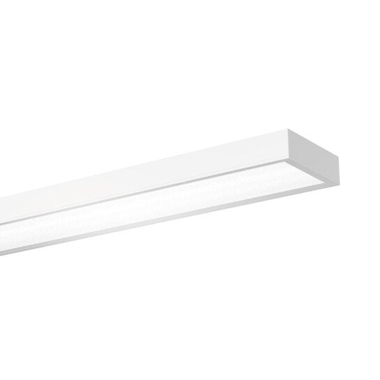 Siteco - Hallen-Reflektorleuchte LED-Hallenleuchte 51HS12DC3DCA 830 DALI