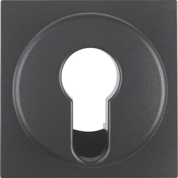 Berker - Abdeckung/Bedienelement für Installationsschalterprogramme Zentralstück anth 15071606