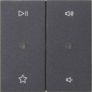 Gira - Bedienelement intelligent Wippe 2f Audiostrg 538428 Anthrazit