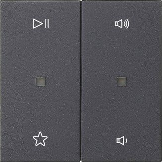 Gira - Bedienelement intelligent Wippe 2f Audiostrg 538428 Anthrazit