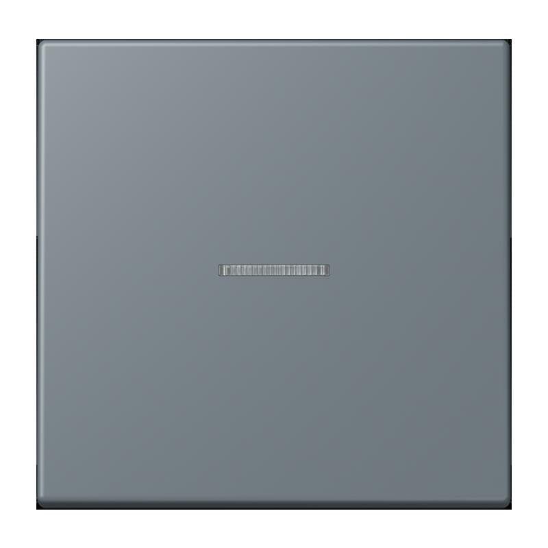 Jung - Abdeckung/Bedienelement für Installationsschalterprogramme Wippe mit Lichtleiter LC 101 KO5 251 gris 59
