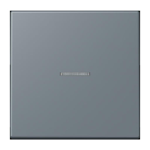 Jung - Abdeckung/Bedienelement für Installationsschalterprogramme Wippe mit Lichtleiter LC 101 KO5 251 gris 59