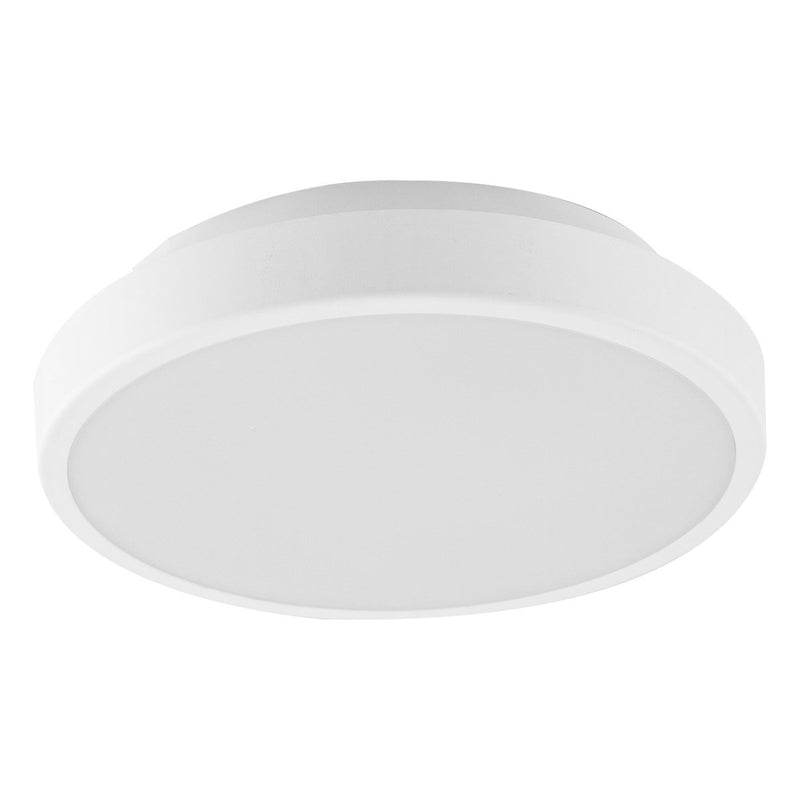 EVN Lichttechnik - Decken-/Wandleuchte LED-Anbauleuchte D54250125