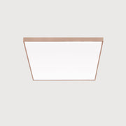 Lightnet - Decken-/Wandleuchte LED-Anbauleuchte CA9AEE-830M-Q300 3000K, silber
