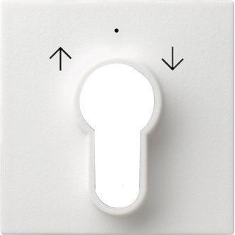 Gira - Abdeckung/Bedienelement für Installationsschalterprogramme Zentralplatte rws-gl 066403 f.Schlüsselschalter