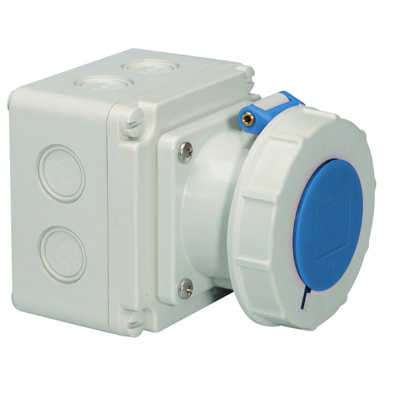 Bals Elektrotech - CEE-Steckdose (IEC 60309) CEE-Steckdose 110571