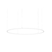 Brumberg Leuchten - Pendelleuchte LED-Pendel-Ringleuchte 84114173MT 3000K, Matter