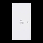 Busch-Jaeger - Bussystem-Tastwippe Wippe 2-fach links m. Sym. 6234-21-44G Dimmer