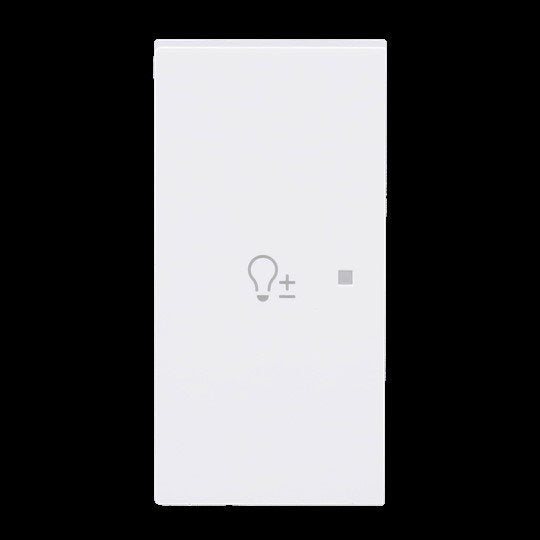 Busch-Jaeger - Bussystem-Tastwippe Wippe 2-fach links m. Sym. 6234-21-44G Dimmer
