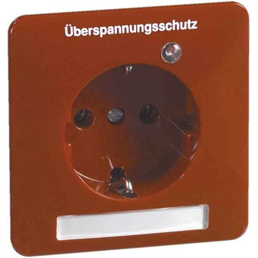 Peha - Schalter-/Steckdosenkombination Steckdose D 80.6611 ÜS/25 W