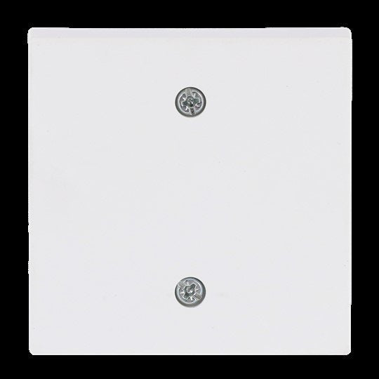 Busch-Jaeger - Abdeckung/Bedienelement für Installationsschalterprogramme Zentralscheibe stud-ws/mt 1796-884 Abdeckung