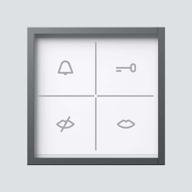 Siedle&Söhne - Funktionsmodul für Türkommunikation Zustandsanzeige-Modul ZAM 600-01 DG dunkelgrau-Glimmer