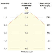 EVN Lichttechnik - Decken-/Wandleuchte LED-Pendelleuchte RPT600125 CCT Switch
