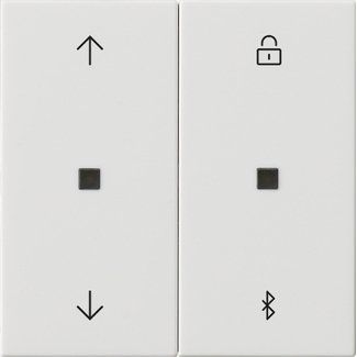 Gira - Bedienelement intelligent Jalousie- + Schaltuhr 536703 Bluetooth Sys.55 rws