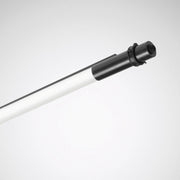 Trilux - Decken-/Wandleuchte LED-Anbauleuchte So-Tube G3 D#7796151 830, DALI, sw