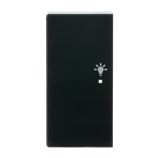 Busch-Jaeger - Bussystem-Tastwippe Wippe 2-f li, Symbol Licht 6231-21-81 anthrazit