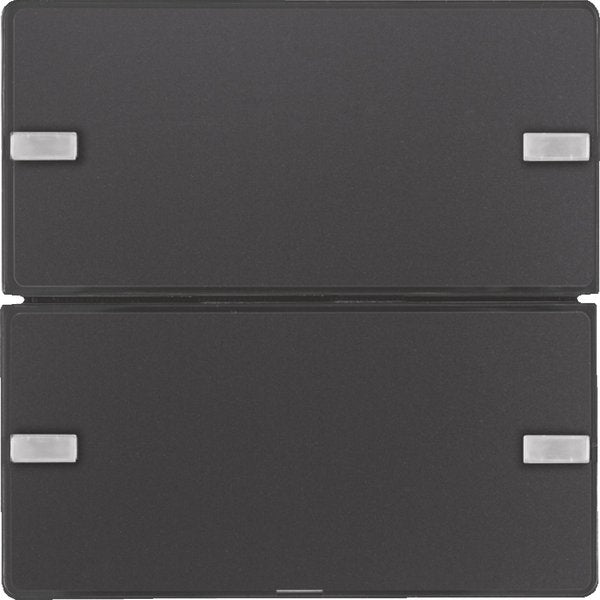 Berker - Bussystem-Tastsensor Tastsensor 2f. anth/sam 80142326