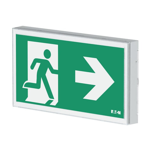 Ceag Notlichtsysteme - Sicherheitsleuchte LED-Rettungszeichenleuchte FT3EW4ICGL18IP 1-8h, Piktos, Wand