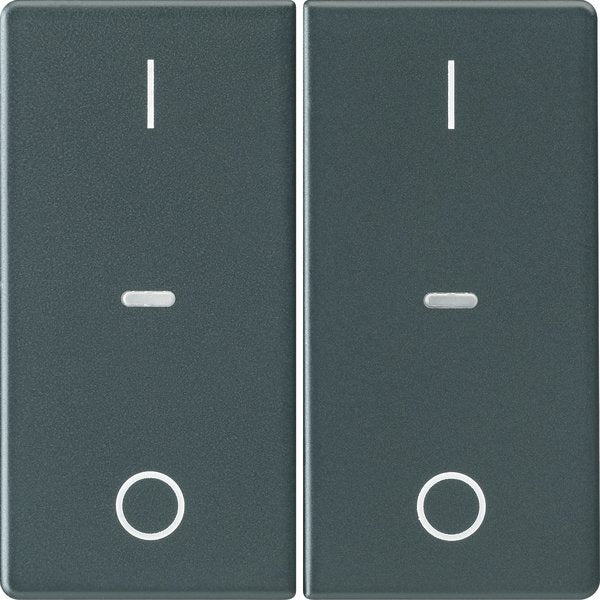 Berker - Abdeckung/Bedienelement für Installationsschalterprogramme Abdeckung Tastsensor-Modul 80962326 2-fach anthrazit