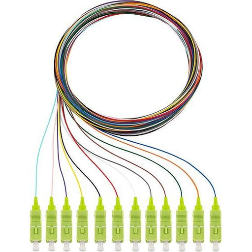 Rutenbeck - LWL-Pigtail Pigtails 12xSC OM5 2m OM5, 2m