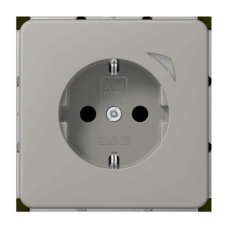 Jung - Steckdose SCHUKO Steckdose 16 A 250V BT CD 1521 S PT m. Berührungsschutz