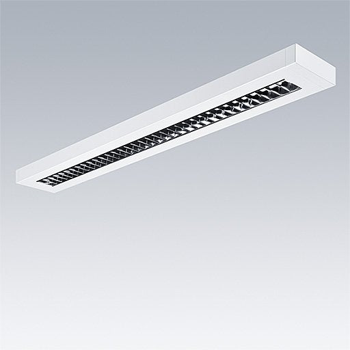 Thorn - Decken - /Wandleuchte LED - Aufputzleuchte PUNCH 3 LV #96635722 940