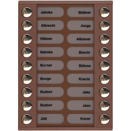 TCS Tür Control - Montageelement für Türstation Audioaußenstation 2-reihig PET18-EB/04 Erw.18 Tasten bronze