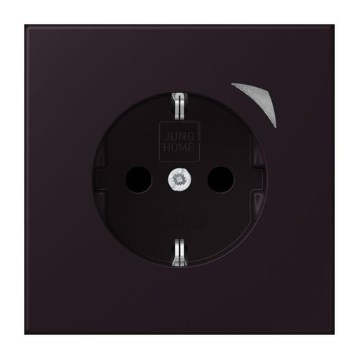 Jung - Steckdose SCHUKO Steckdose BT LC 1521 S 248 noir divoire (4320E)