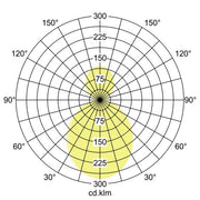 Brumberg Leuchten - Pendelleuchte LED-Pendel-Ringleuchte 13548174 D2500mm, H100mm