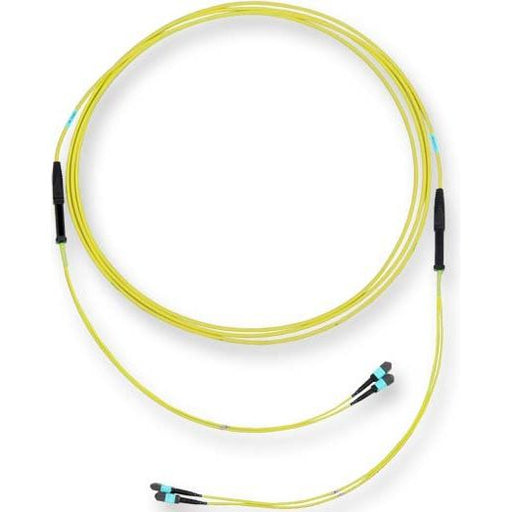 Corning - Patchkabel LWL LWL-Trunkkabel Edge XB G909024GLZ88U015M 24F MTP/f-MTP/f