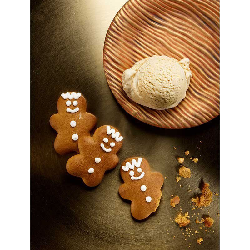 Unold - Dokumentation Eisbuch 488999 101 Rezepte