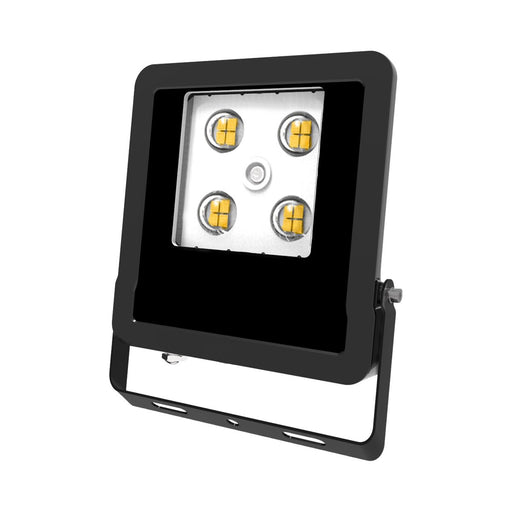 EVN Lichttechnik - Downlight/Strahler/Flutlicht LED-Fluter LFE100940 4000K